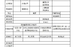 国考应届待业，考公还是先就业？