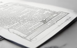 2025国考申论范文，如何借鉴高分申论写作技巧？