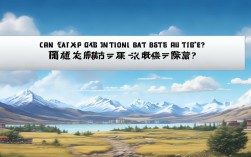 国考能报西藏岗吗？有何特殊要求？