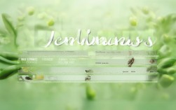 保健养生小常识，保健养生小常识宣传总结