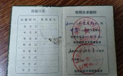 国考团员造假频发，审核机制为何形同虚设？