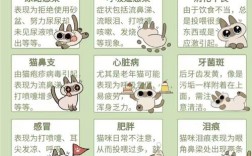 夏季学生卫生常识，高温环境下如何有效预防常见疾病？