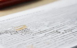 有何核心区别？