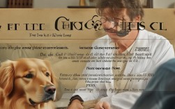 2025年宠物护理新误区？这些常识别再信了！