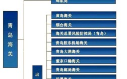 徐闻海关国考报名条件是什么？