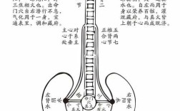 古代阴阳哲学如何塑造中国人的宇宙观与生活智慧？