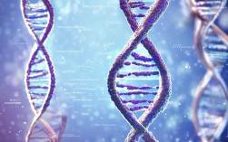 DNA生活小常识有哪些冷知识？