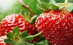 草莓现在还能吃吗？农残超标了吗？