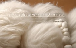 羊毛常识，如何辨别真假羊毛及正确洗涤保养？