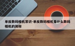 单反数码相机常识-单反数码相机是什么数码相机的简称