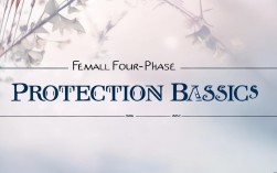 女性四期保护，2025年最新政策与权益指南？