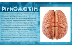 泌乳素常识，泌乳素的表现