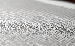 2919国考答案在哪里？