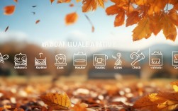 秋季保健常识有哪些关键点需要注意？