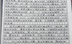 2026国考市地作文