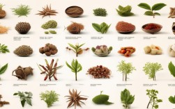 中药常识有哪些？