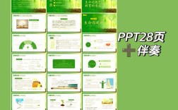 生命与健康常识PPT有哪些核心要点？