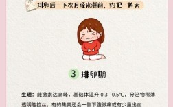 女生必知的生理常识有哪些？