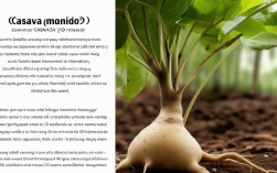 木薯常识有哪些？安全食用要注意什么？