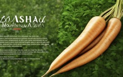 毛胶山药有何独特功效与食用禁忌？