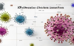 水痘常识有哪些？新手爸妈必知的5个关键问题解答
