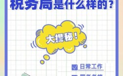 国考省考税务招录，该选哪个？