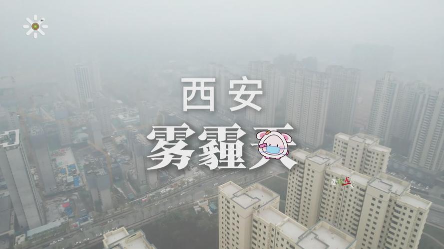 国考雾霾为何频发？考生健康如何保障？-图1