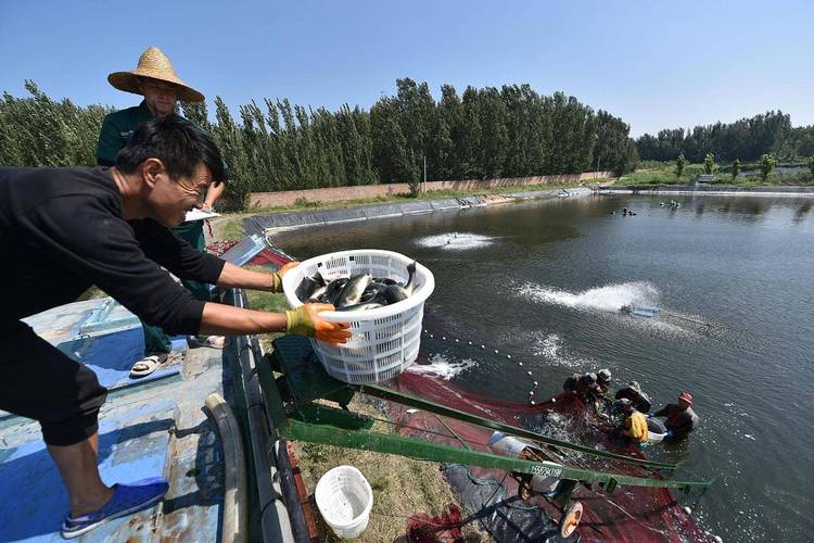 国考水产专业考什么？就业方向有哪些？-图1