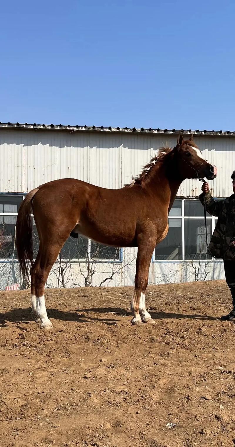 老马原型是谁？国考老马原型揭秘？-图1