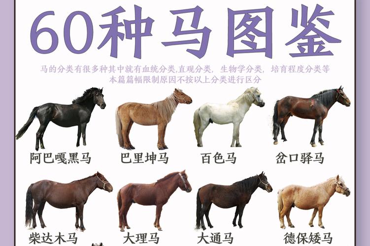 老马原型是谁？国考老马原型揭秘？-图2