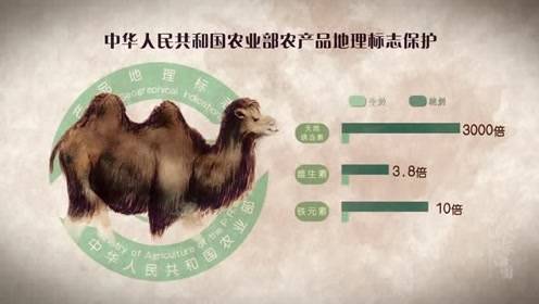 右玉国考有何新动态与备考要点？-图3