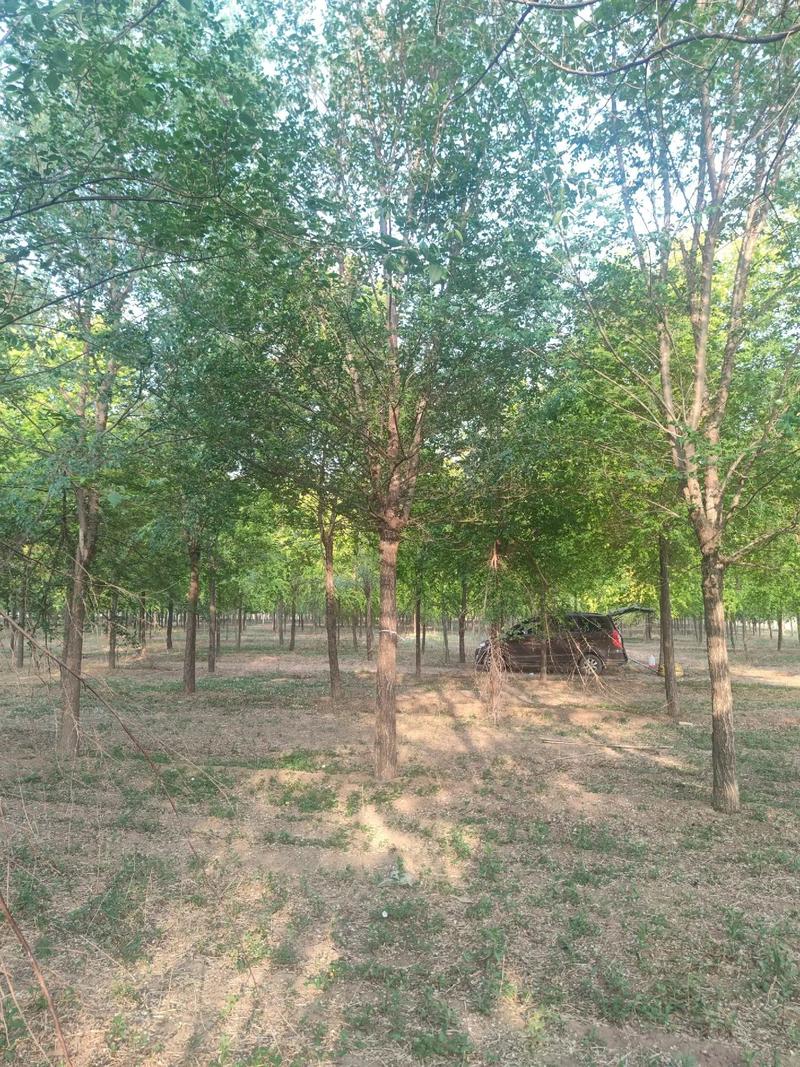 榆树国考何时开始报名？-图1