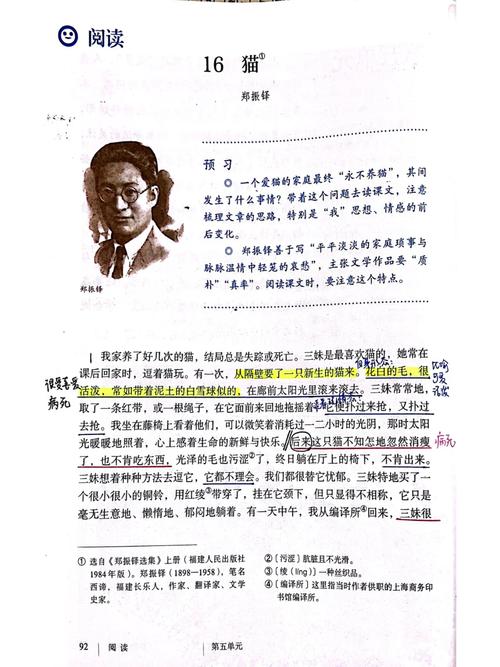 猫与文学常识,郑振铎有何独特关联?-图1 猫与文学常识,郑振铎有何独特关联?-图1