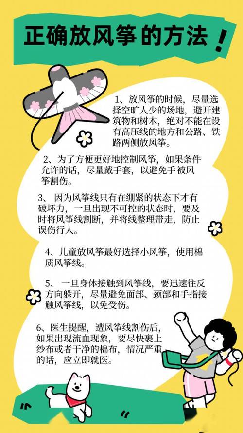 自然常识 风筝 教案-图3