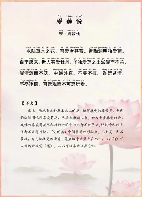 爱莲说文学常识有哪些核心要点？-图1