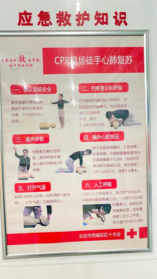 生活中必备急救常识有哪些？-图2
