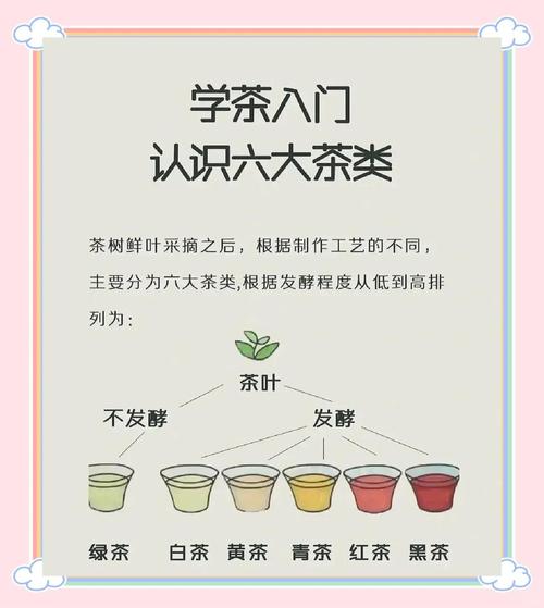 茶叶选购有哪些小常识？-图2