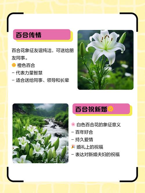 送花有哪些必知常识？-图2