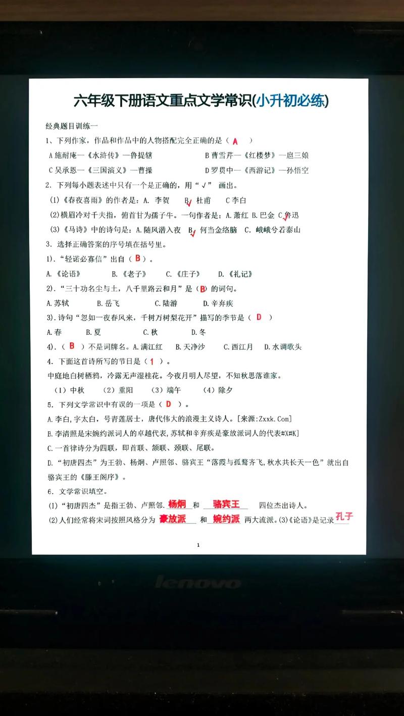 六年级文学常识练习题涵盖哪些重点考点？如何有效提升答题正确率？-图3