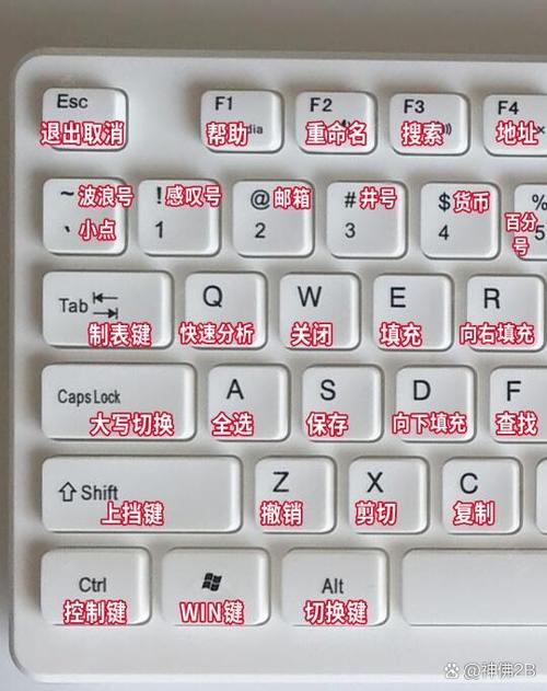 速录机按键有哪些基本常识？-图1