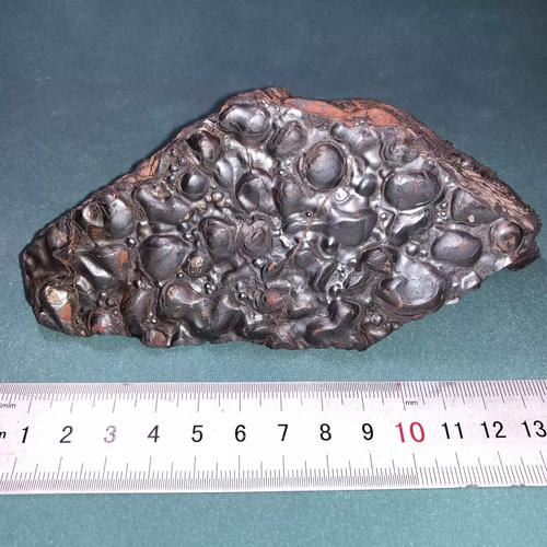 国考标本考试具体怎么考？-图1