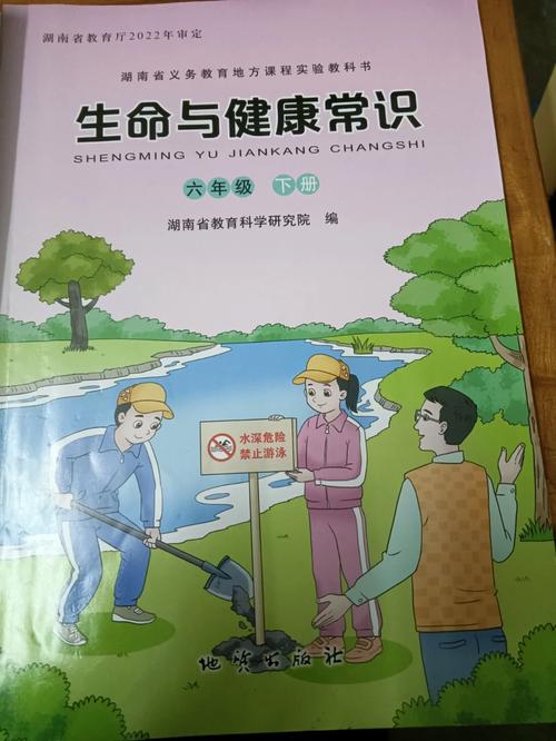 生命与健康常识PPT有哪些核心要点?-图3 生命与健康常识PPT有哪些核心要点?-图3