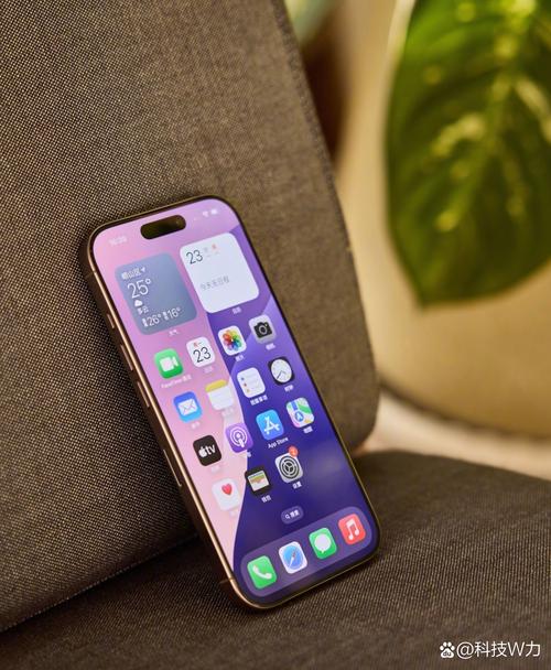 国考平台能用iPhone报名吗？-图3