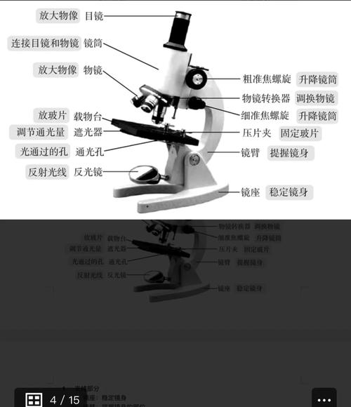 显微镜使用有哪些基本常识？-图1