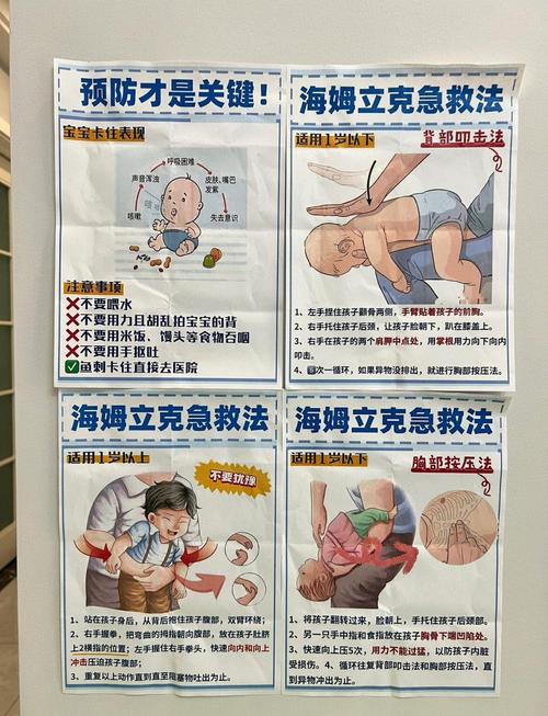 家庭急救常识 全集-图1 家庭急救常识 全集-图1