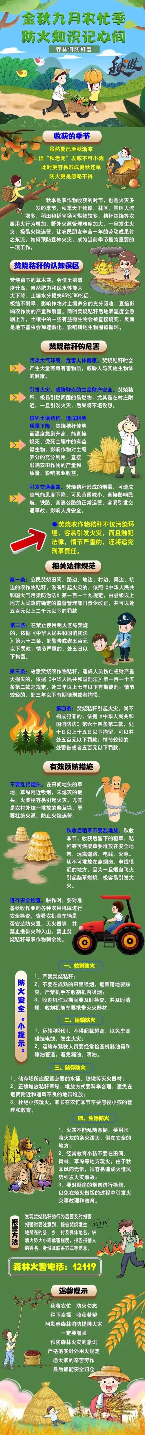 森林防火常识(略)-图1