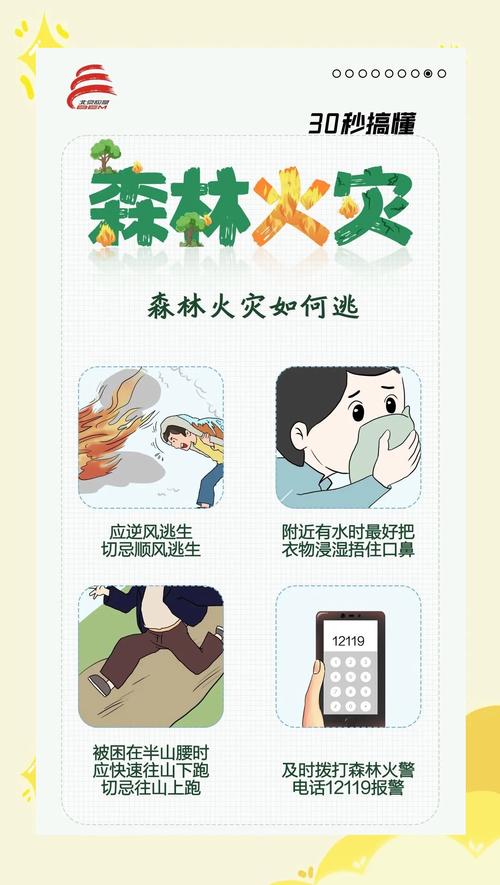 森林防火常识(略)-图3