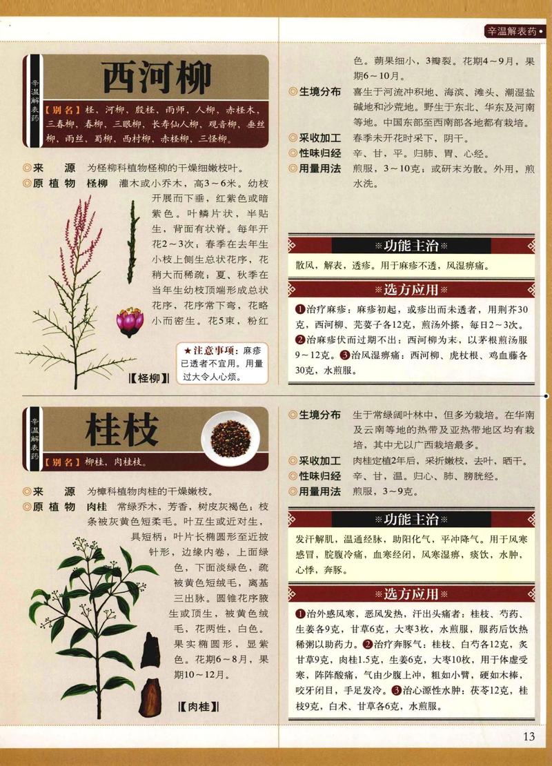 古代文化常识 医药-图1