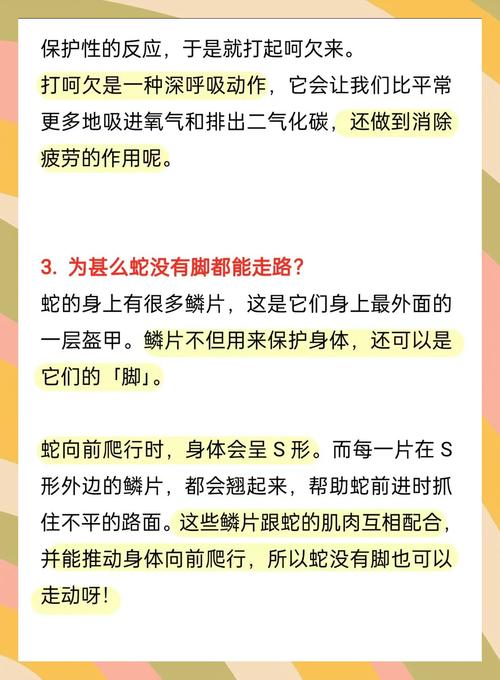 幼儿园科学小常识，如何用趣味实验点燃孩子的好奇心？-图1
