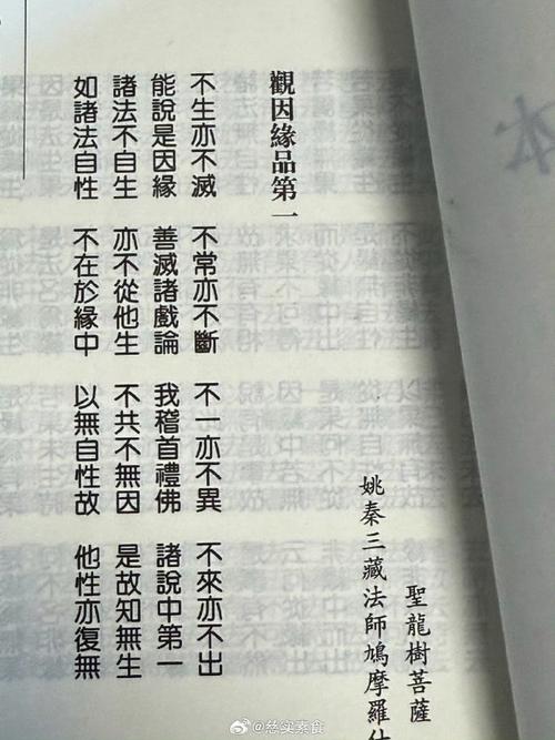 佛教常识答问txt,书中解答了哪些核心问题?有哪些未解之谜?-图2 佛教常识答问txt,书中解答了哪些核心问题?有哪些未解之谜?-图2